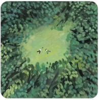 欢迎使用Z-BlogPHP！