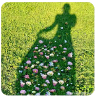 欢迎使用Z-BlogPHP！