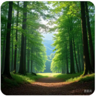 欢迎使用Z-BlogPHP！