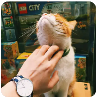 欢迎使用Z-BlogPHP！