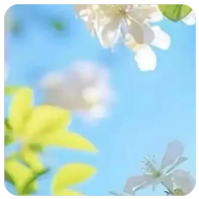 欢迎使用Z-BlogPHP！